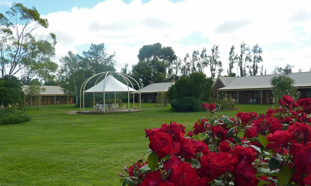 Coonawarra Place Motor Inn المظهر الخارجي الصورة