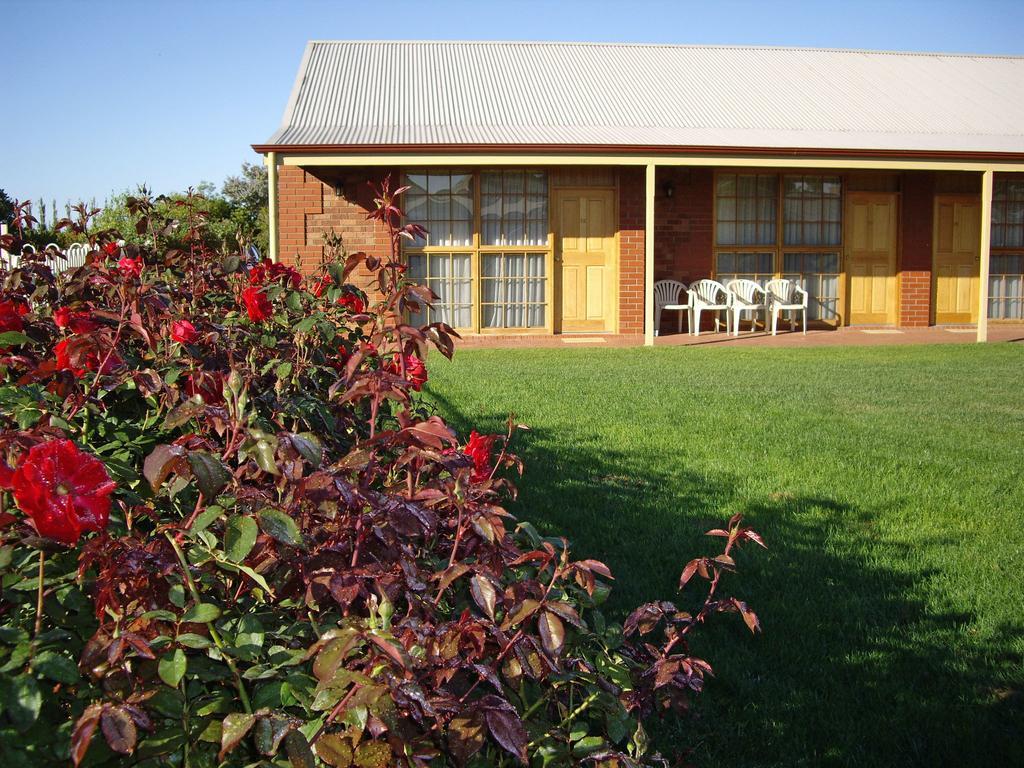 Coonawarra Place Motor Inn المظهر الخارجي الصورة