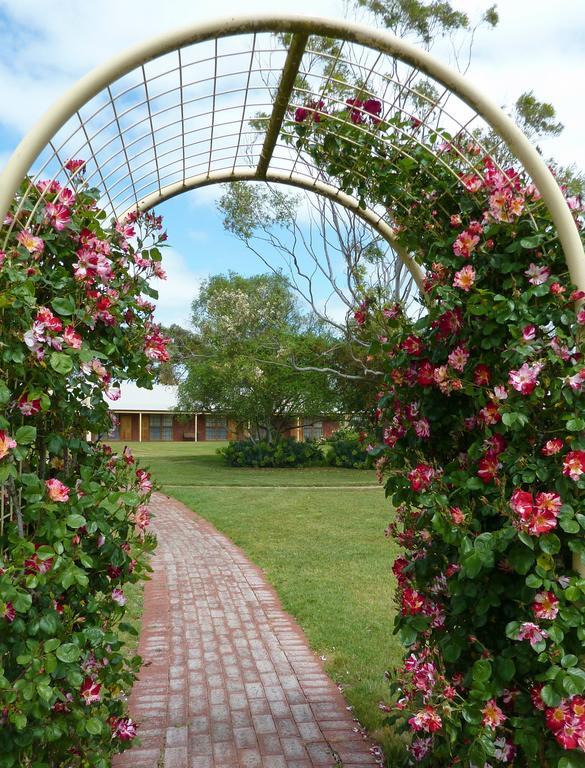 Coonawarra Place Motor Inn المظهر الخارجي الصورة