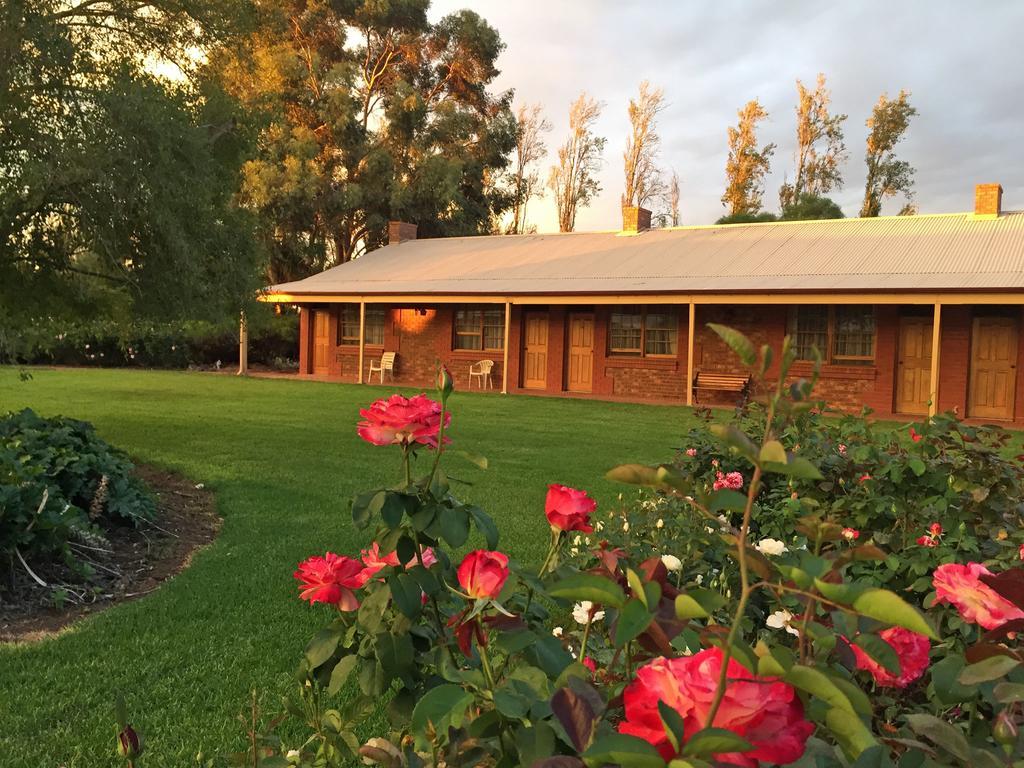 Coonawarra Place Motor Inn المظهر الخارجي الصورة